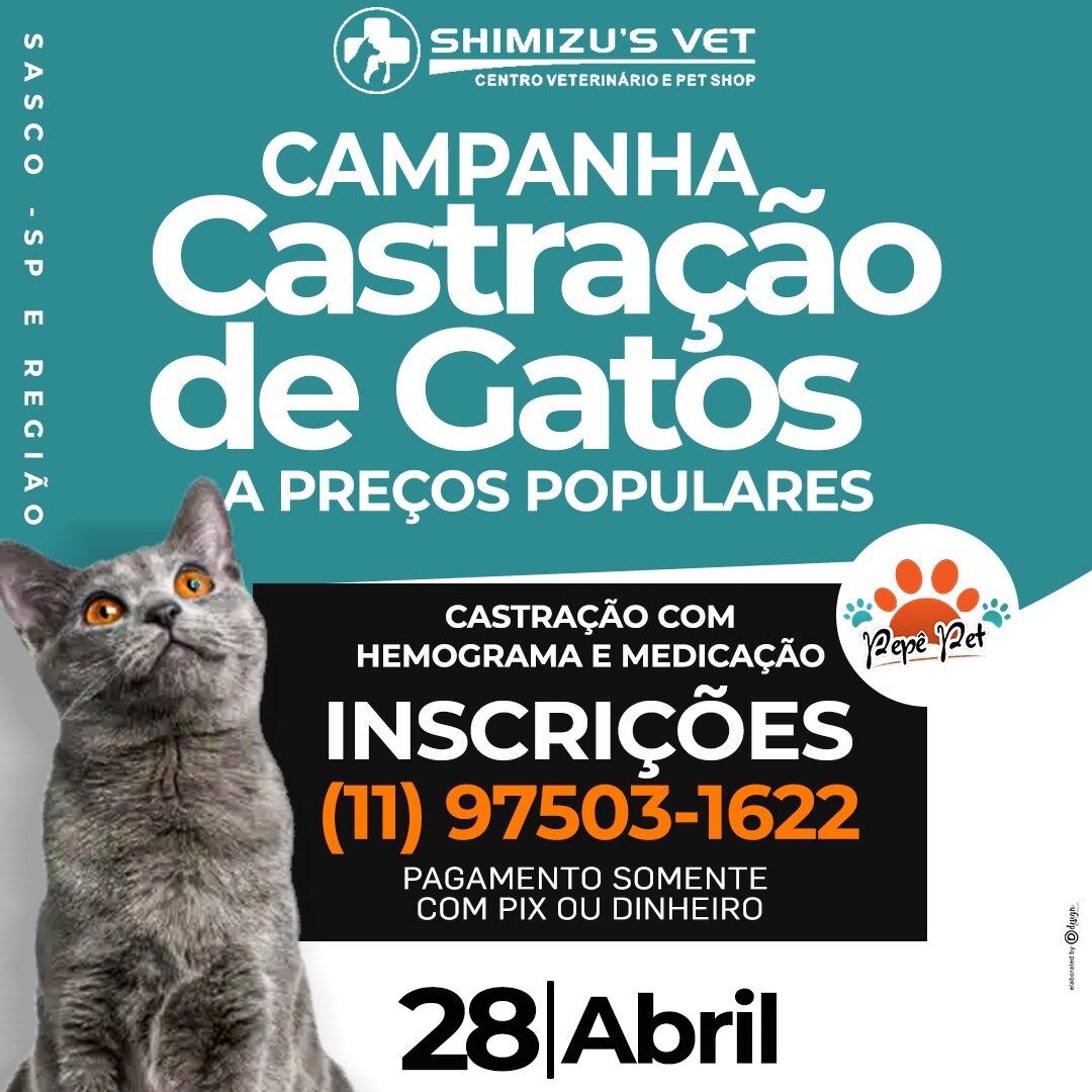 Campanha Castração de Gatos