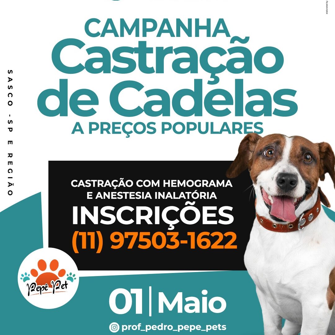 Campanha Castração de Cadelas