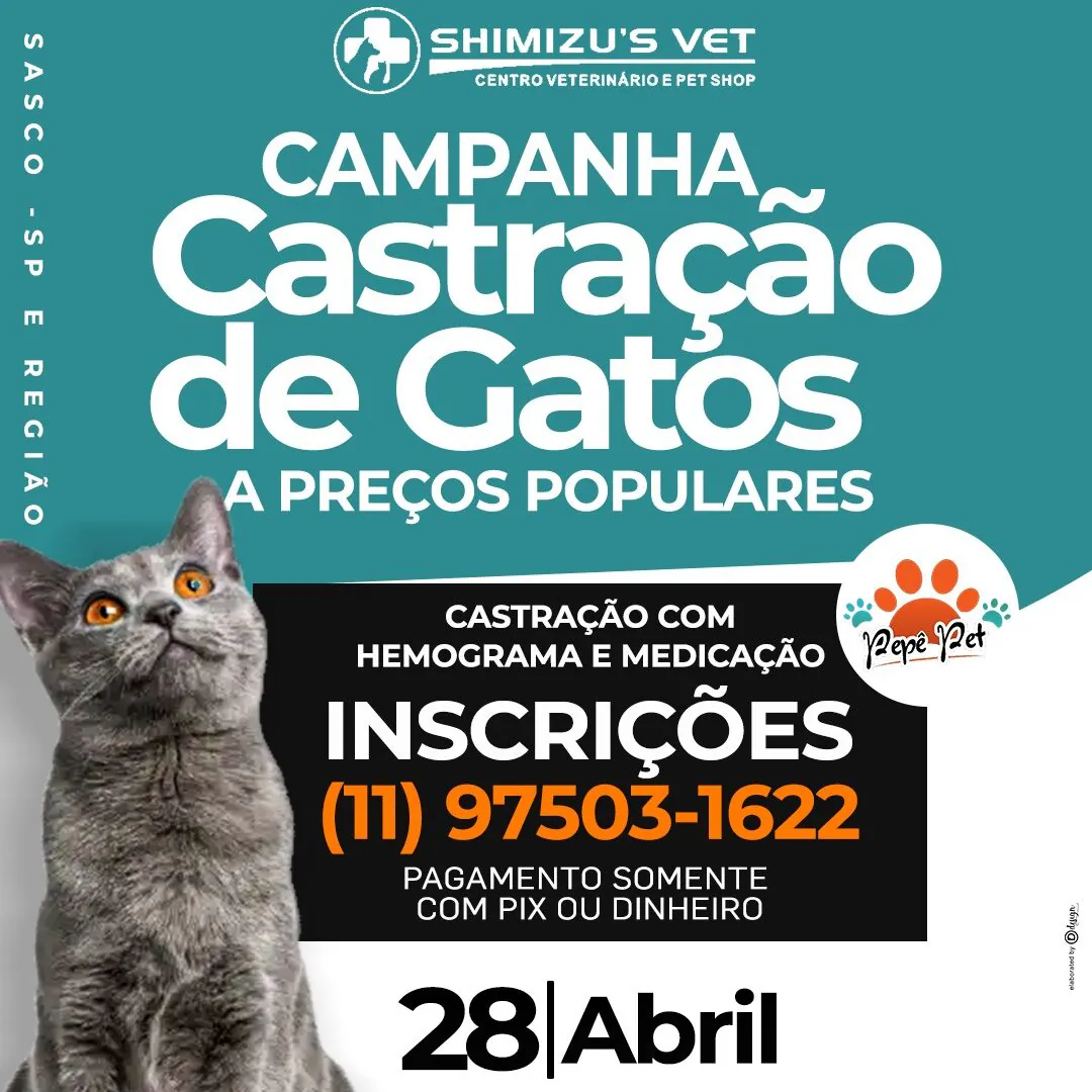 Campanha Castração de Gatos